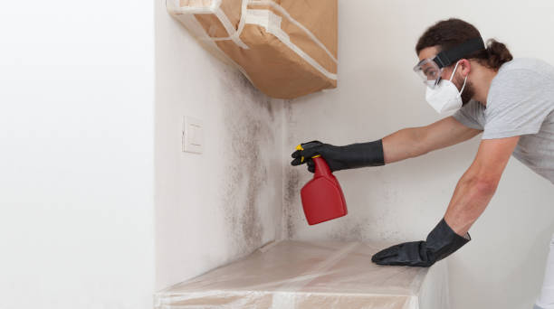 Professional Bathroom Mold Removal technician working in Barnesville, GA