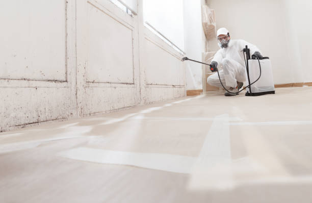 24/7 Emergency Bathroom Mold Removal experts in Barnesville, GA