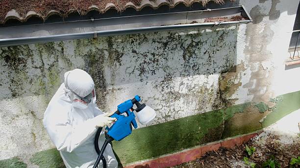 Top rated local Bathroom Mold Removal specialists in Barnesville, GA